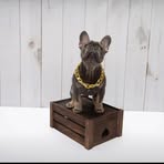 Leon Potter - Facebook