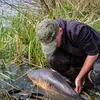 Leon Preston - @lp.carpy - TikTok