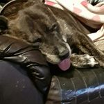 Leon Pritchard - @leonp_17907 - Instagram