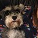 Leon Pritchett - Facebook