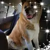 Leona Purvis - @leona.purvis - TikTok