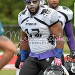 Leon Ray Lewis Foster Sr. - @gamesavage__13 - Instagram