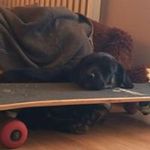 Leon Ring - @ringleon - Instagram