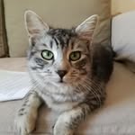Leon_Ringhofer - @leon_ringhofer - Instagram