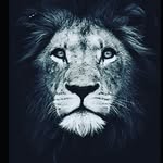 Leon Ritter - @ritterleon58 - Instagram