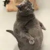 leonrobb - @leonrobb - TikTok
