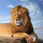Leon Rocha - Facebook
