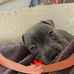 Leon Roper - Facebook