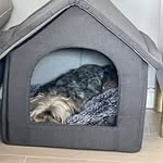 Leon Röpert - @leonropert - Instagram