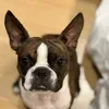 Leon - @leonrosenbergg - TikTok