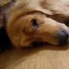 leon_rucker - @leon_rucker - TikTok
