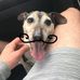 Leon Rutherford - Facebook