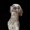 leonruttley - @leonruttley - TikTok