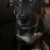 leon saunders - @leon.saunders3 - TikTok