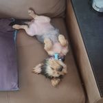 Leon Saunders - @leon.saunders.792 - Instagram