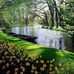 Leon Saunders - Facebook