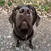 L3on.sch - @leon.scherer0 - TikTok