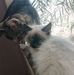 Leona Scherer - Facebook