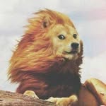 Leon Shao - @leon.s12138 - Instagram