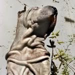 León - @leon_sharpeii - Instagram