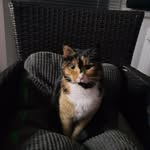 Dominik-Leon Siebert - @nureintyp5555 - Instagram