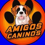 León Dario Sipes - @amigoscaninospaseos - Instagram