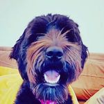 Leon smalls - @leon__smalls - Instagram