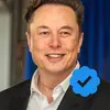 Elon Musk - @leonaldo.smith748 - TikTok