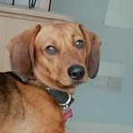 Léon Somers - Facebook