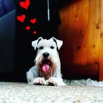 Leon_S - @leon_stanek567 - Instagram