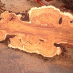 Leon Steiner - @steinerhardwoods - Instagram