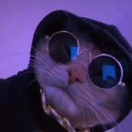 Leon Steiner - @leon777736 - Instagram