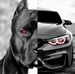 Leon Sztat - Facebook