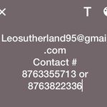 Leon Sutherland - @howardsleon - Instagram