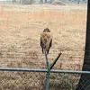 leontatum7 - @leontatum7 - TikTok