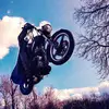 the dragon - @leonthacker - TikTok