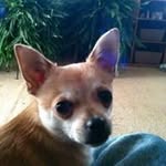 Leon Thomason - @thomason.leon - Instagram