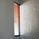 Mane León-Thorne DG - @meltdg - Instagram