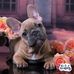 Lenn Thurston - Facebook