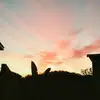 Leon - @leontrim_507 - TikTok