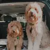 leon & tripp - @leonandtripp - TikTok