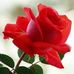 Leon Tyler - Facebook