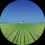 Zand - @_leon_valley_ - Instagram