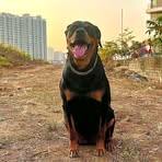 Leon Waters - Facebook