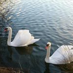 Lee Lee Webb - @leon.webb.75 - Instagram