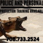 Leon Wells - @leonthedogman - Instagram