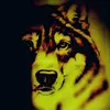 Leon wenz - @leonwenz0 - TikTok