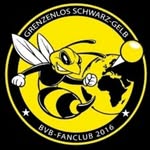 für immer schwarz und gelb - @leonwerner - Instagram