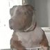 Leonie Wiles - Facebook