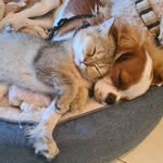 @leo_n_willie_ - Instagram
